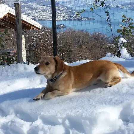 Apartamento I Faggi Casa Vacanze